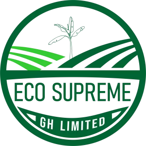 2025 LOGO